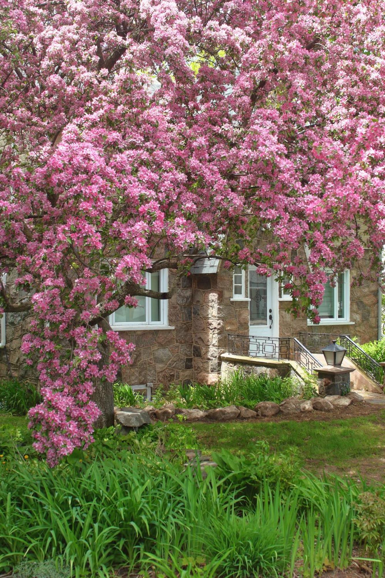 Rester Vivant Chambres D'Hotes Saint-Jean-Port-Joli Extérieur photo